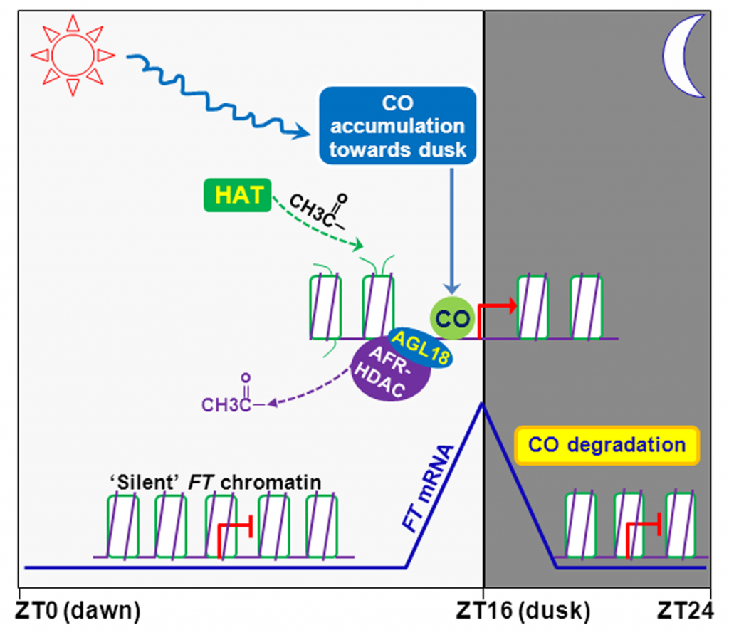 from Gu et al (2013)