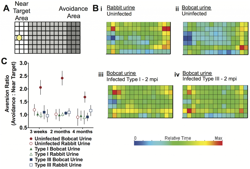 (A) Experimental grid. (B) Frequency distribution of mouse locations. (C) Ratio of time spent in avoidance area to time in target area.