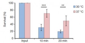 thermo3